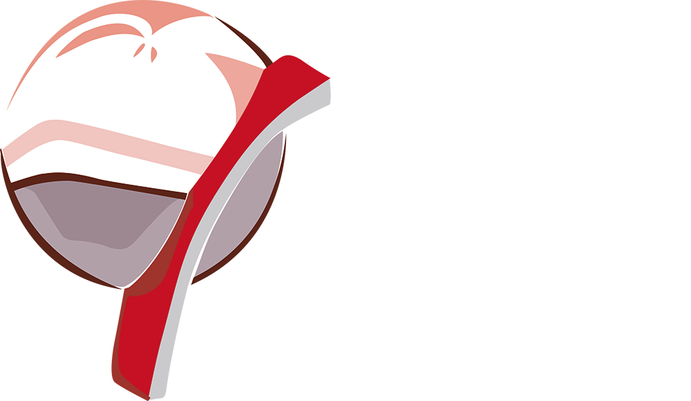 logo euros orthopaedics